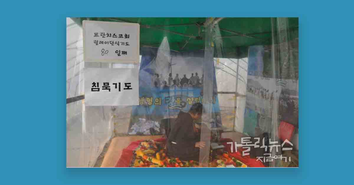 The Korean Friars’ Involvement in Creation Care